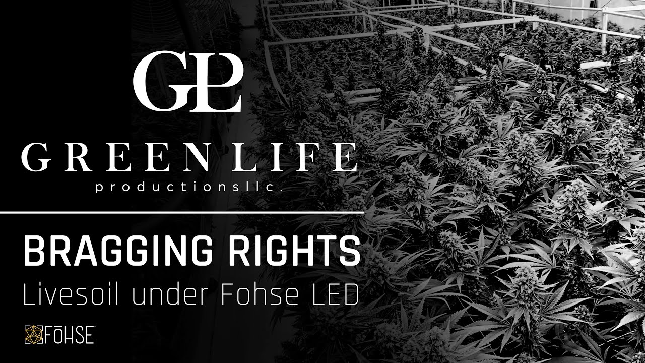 BRAGGING RIGHTS | Green Life Productions, Masters of Craft Cannabis under Fohse LED Grow Lights