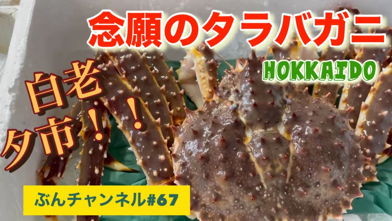 やっと来れましたよ！