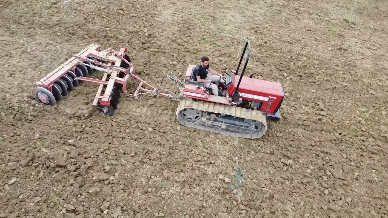 DISCATURA OLIVETO 2K21. NEW HOLLAND 82-85 + ERPICE A DISCHI ANGELONI. (OLEIFICIO ASTOLFI).