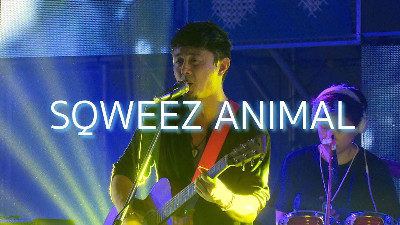 SQWEEZ ANIMAL @ 101 LOVE เทศกาลรักเกินร้อย