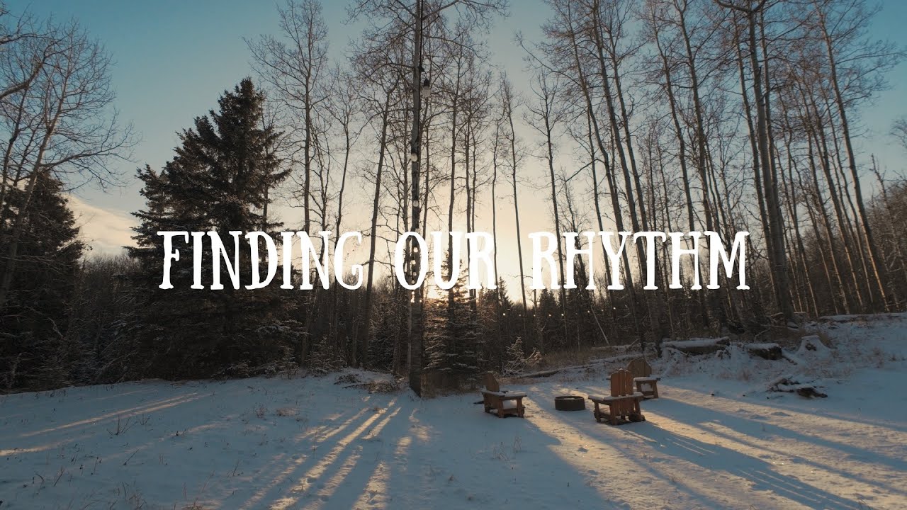 Welcomed a New Animal | Rural Living