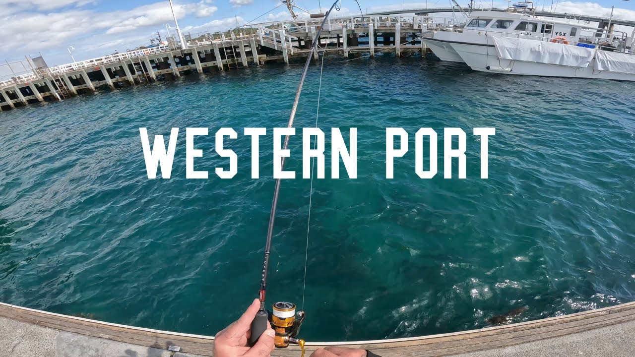Fishing Western Port