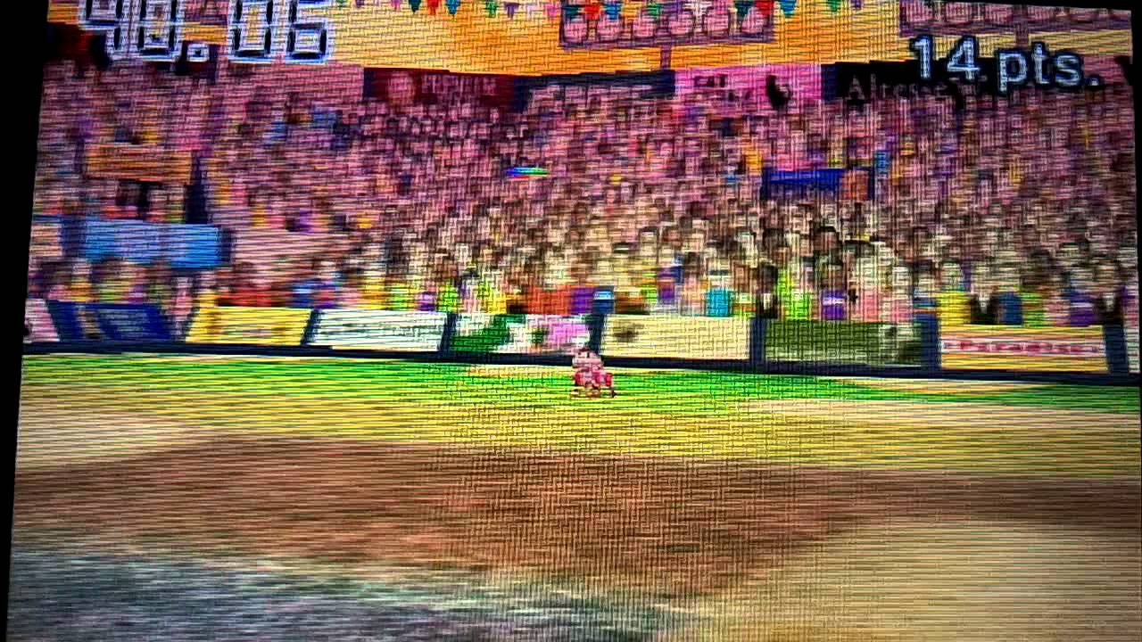 Nintendogs +Cats-Disc Competition Nintendogs Cup with RoboPup (HD)