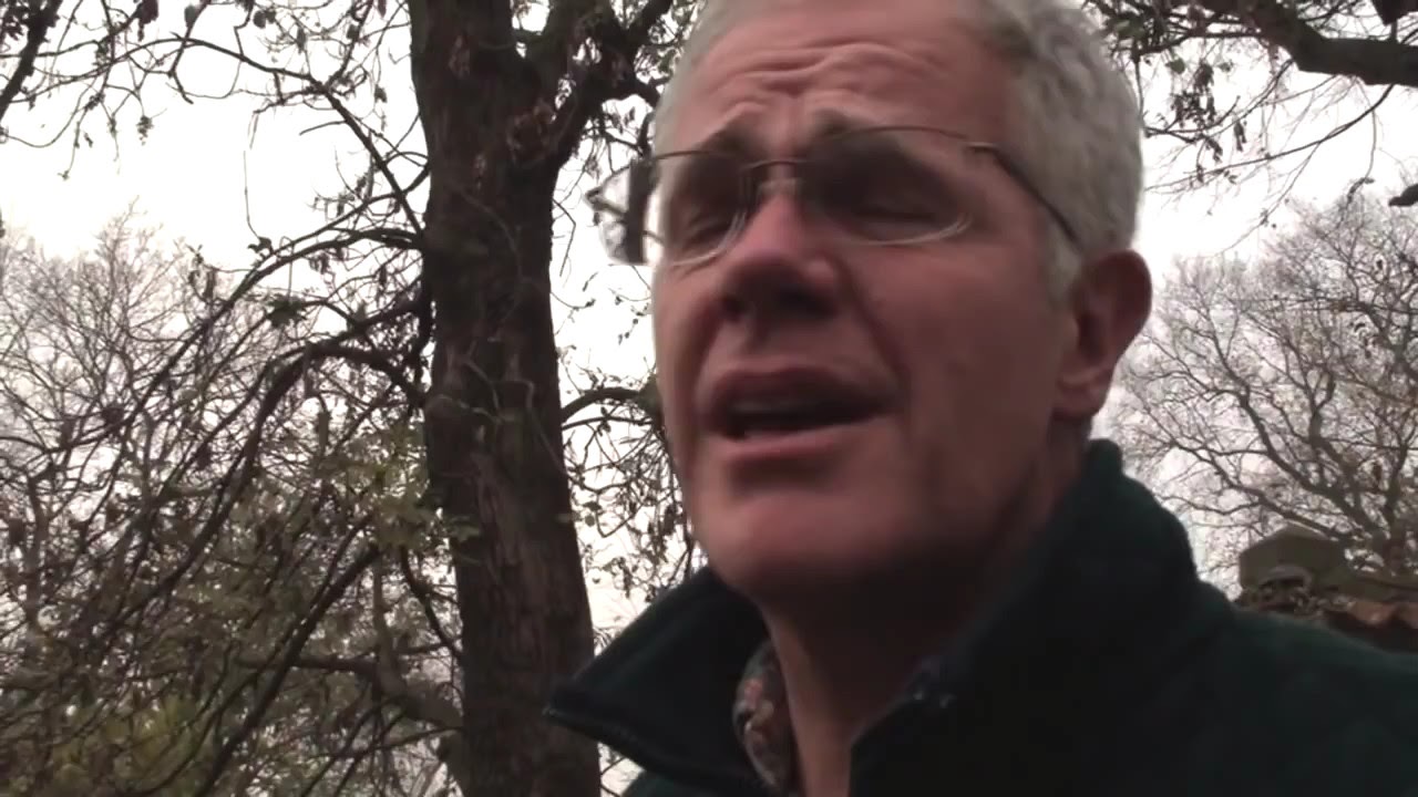 Co trzeba zrobić w Sobieszynie?