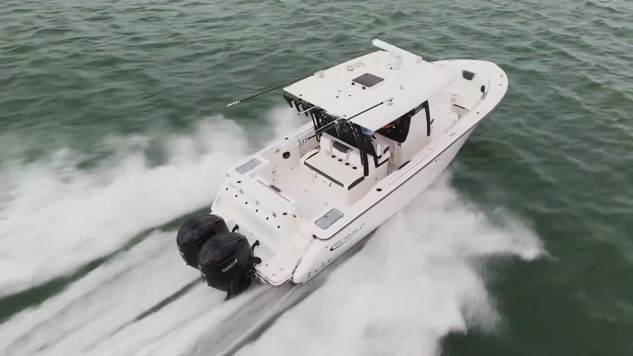 Robalo R300 in Action