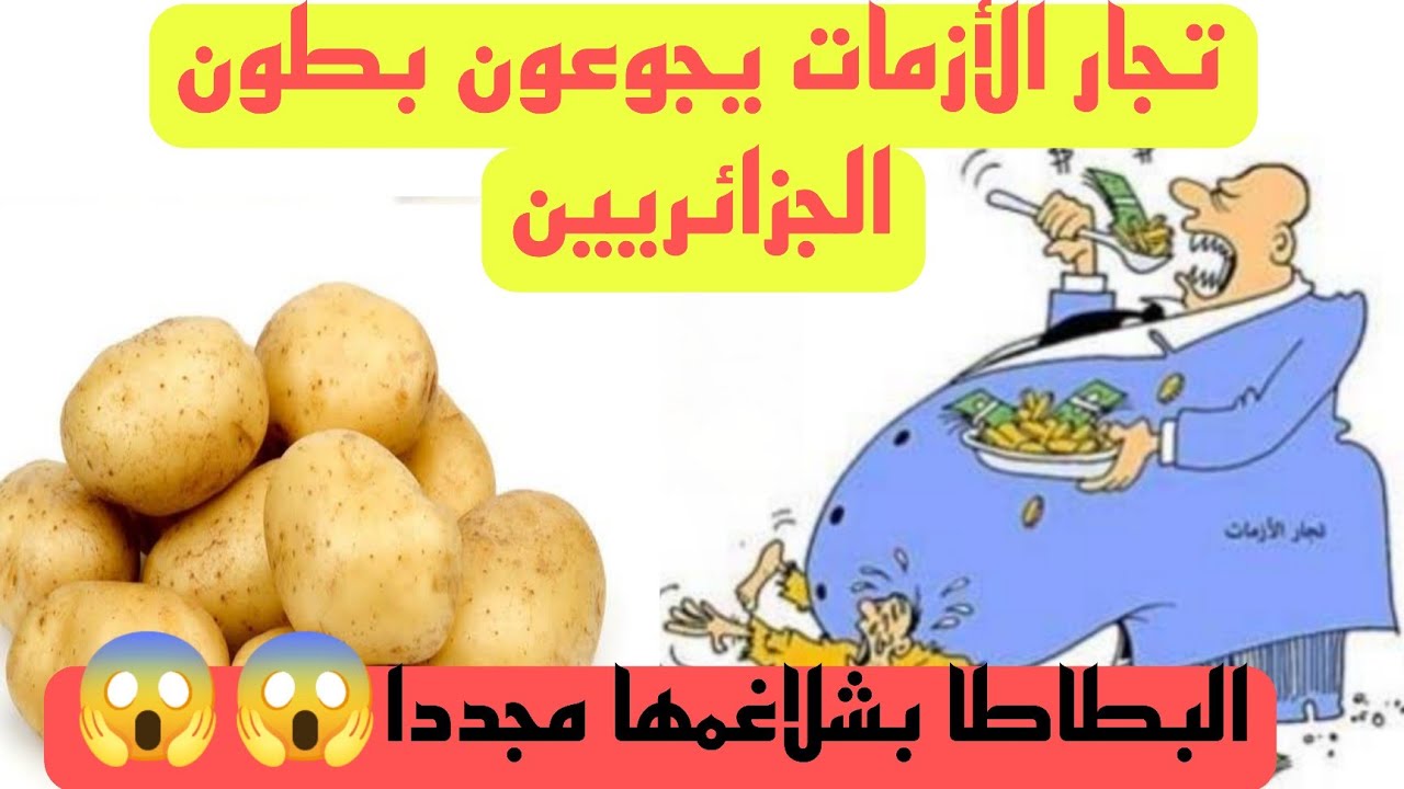 ارتفاع اسعار البطاطا في الجزائر.. من المسؤول وراء ذلك؟