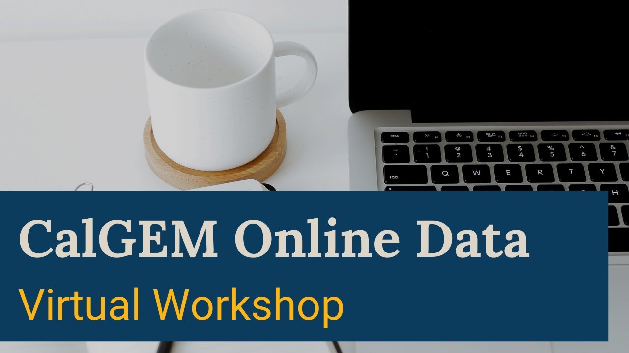 CalGEM Online Data Virtual Workshop | April 28,2021