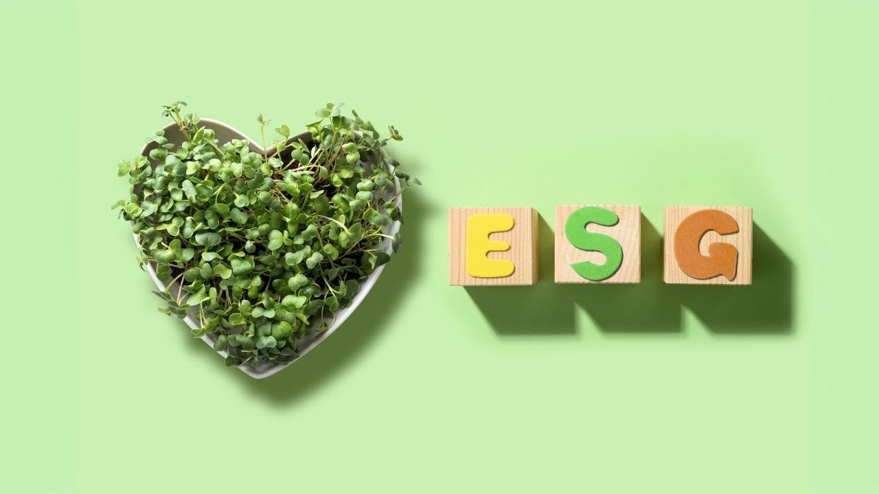 ESG Investing Explained | Women’s Wealth Webinar with Sam Secomb & Selina Flavius