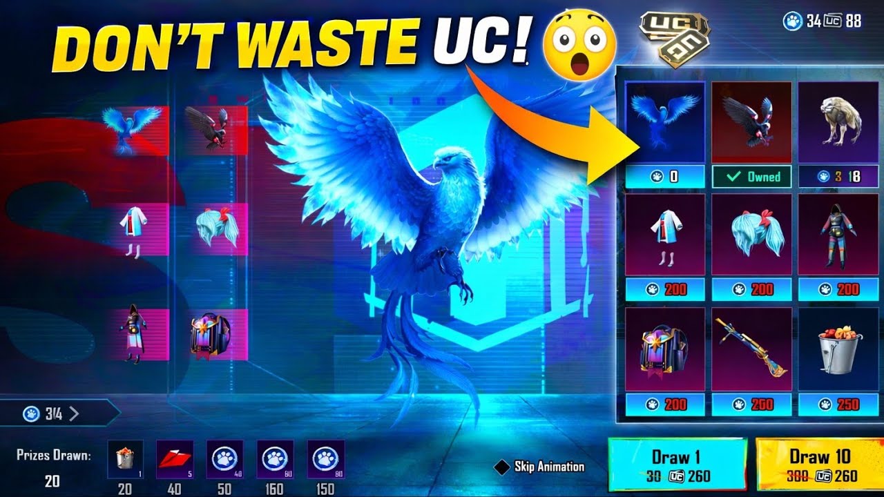 How To Get Glacier Falcon in BGMI | New Hola Buddy Spin