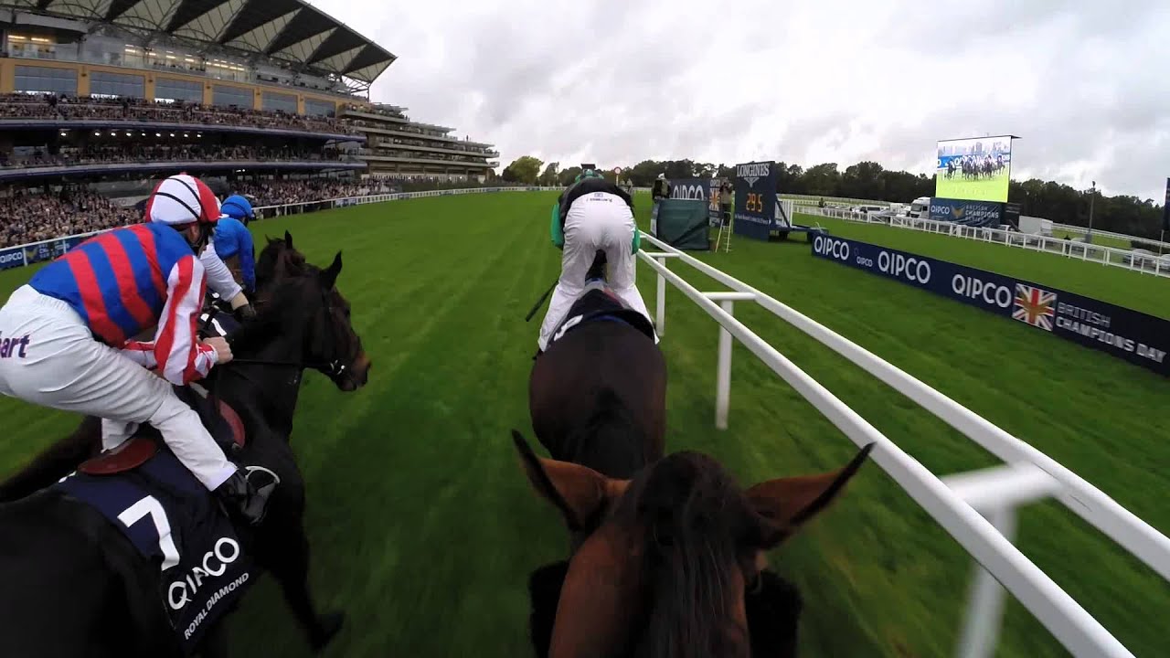 British Champions Day Jockey Camera