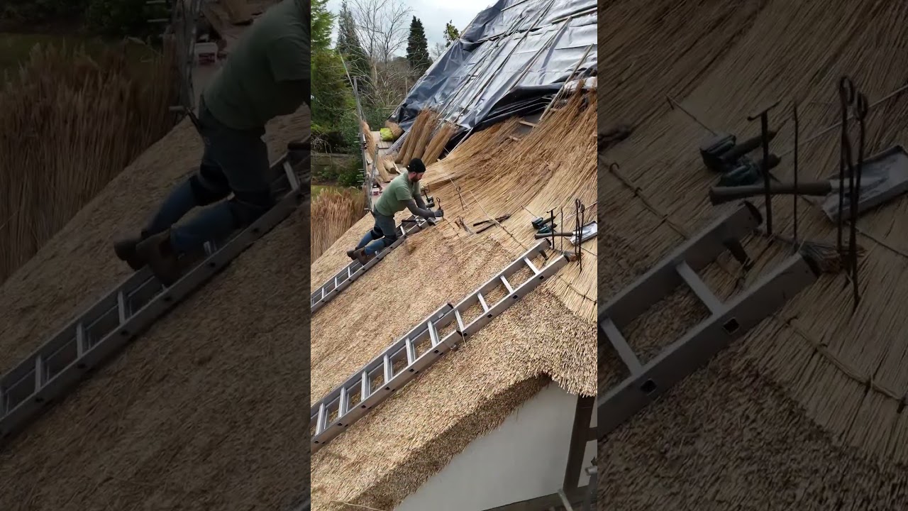 Stunning views and the thatch roof underway #thethatchingguy #alright #thatch #views #shorts