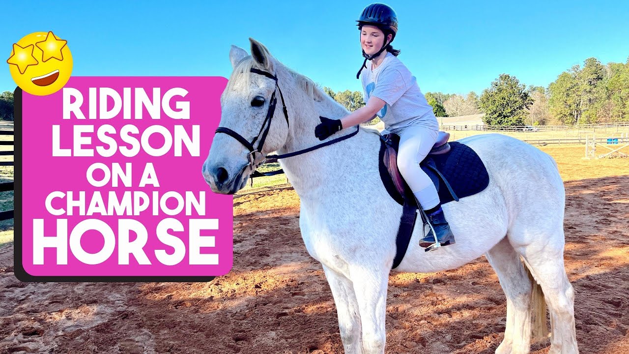 Champion horse riding | Equestrian vlog | Lesson on a NCAA champ horse!