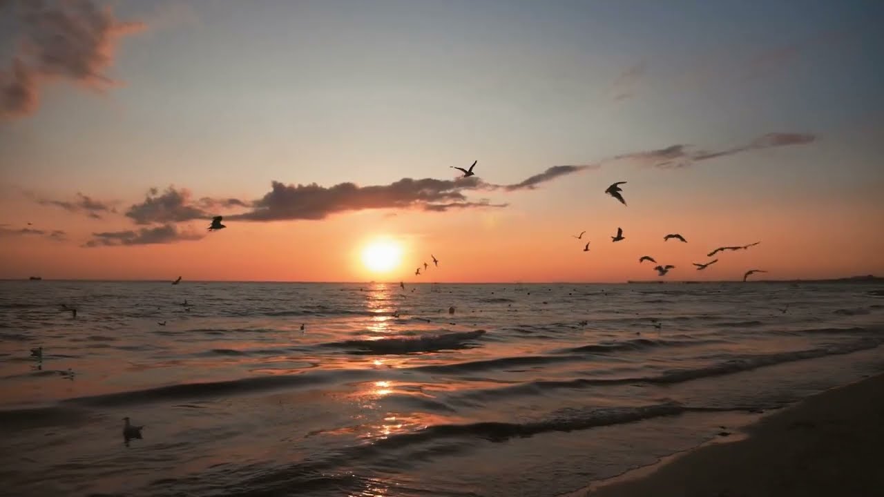 Ludovico Einaudi  Experience  One Hour Long Calming Experience