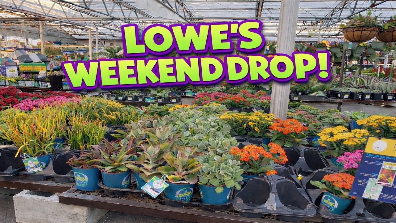 Lowe&rsquo;s Garden Center FULL of New Weekend Plants! 🌸🌿