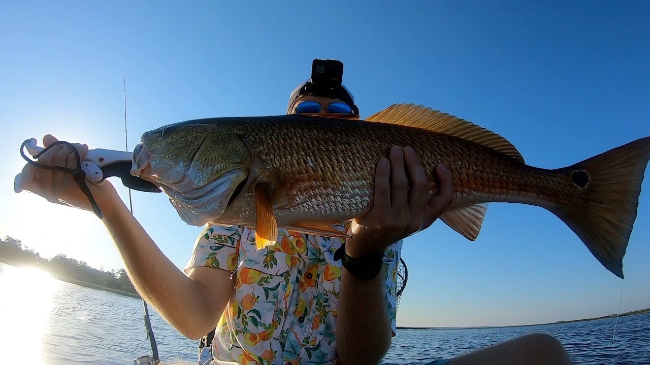 Massive redfish in summer heat wave (Brunswick GA)