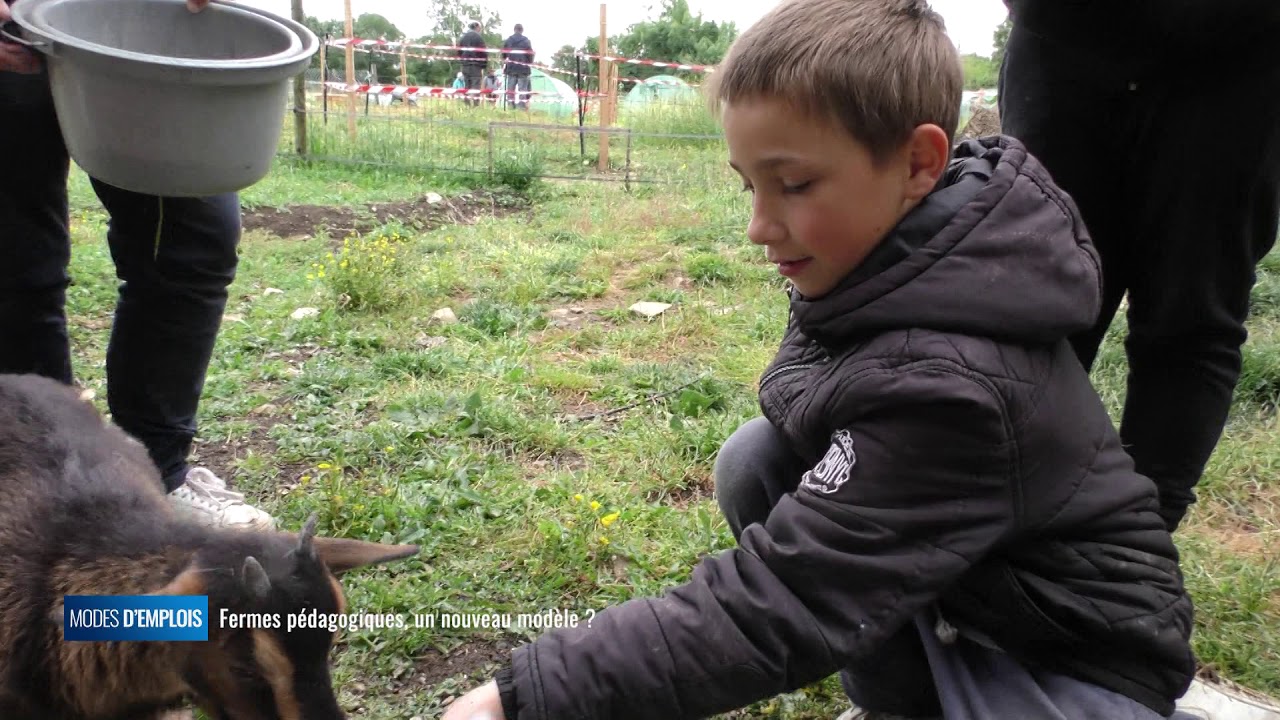 Modes d'emplois - Ferme pédagogique, un nouveau modèle ?