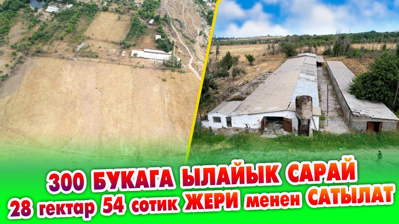 300 БУКАГА ылайык чоң САРАЙ, 28 гектар, 54 сотик ЖЕРИ менен САТЫЛАТ ~ Бүт документтери бар