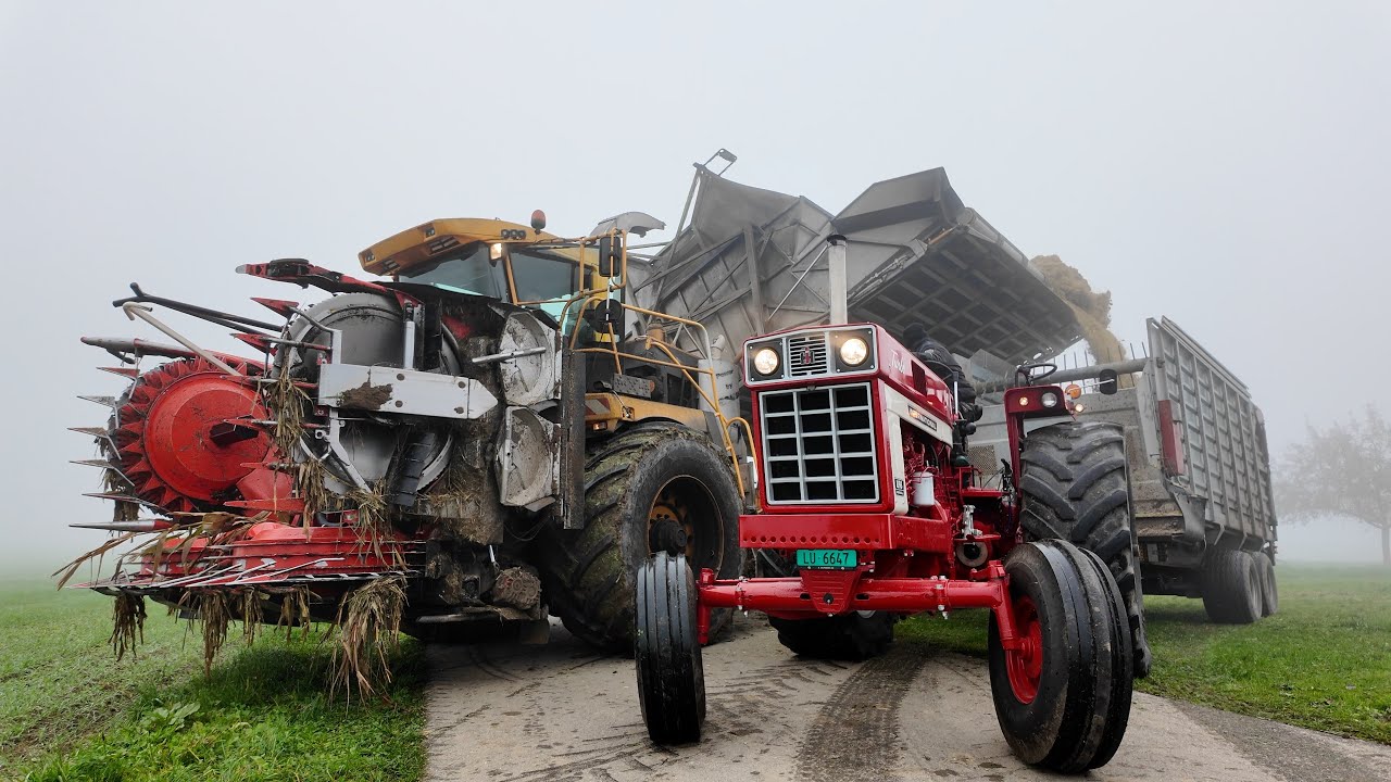 CASE IH 1066 🇨🇭 beim Maistransport 🌽 SOUND ON mit Bunkerhäcksler und Maispresse
