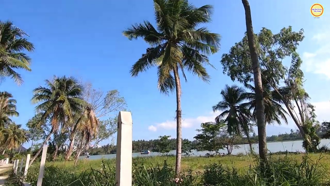 Làng Lư Cấm, Dự Án Đập Ngập Mặn Đến Cầu Xóm Bóng Về Chiều
