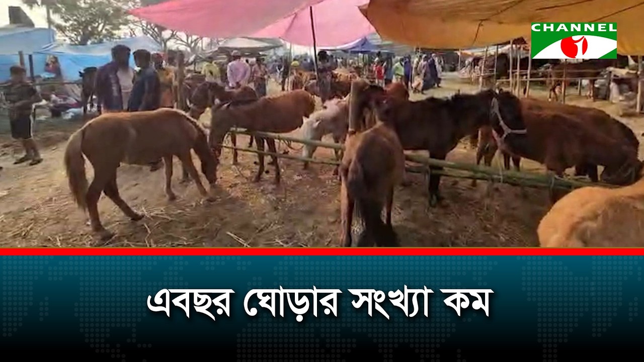 জয়পুরহাটে ঘোড়ার মেলা