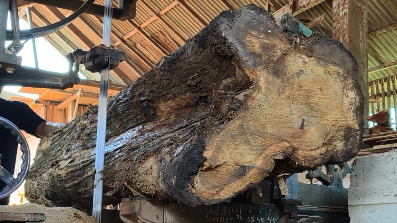 Extraordinary! Large teak wood that shows the luxury of natural fiber