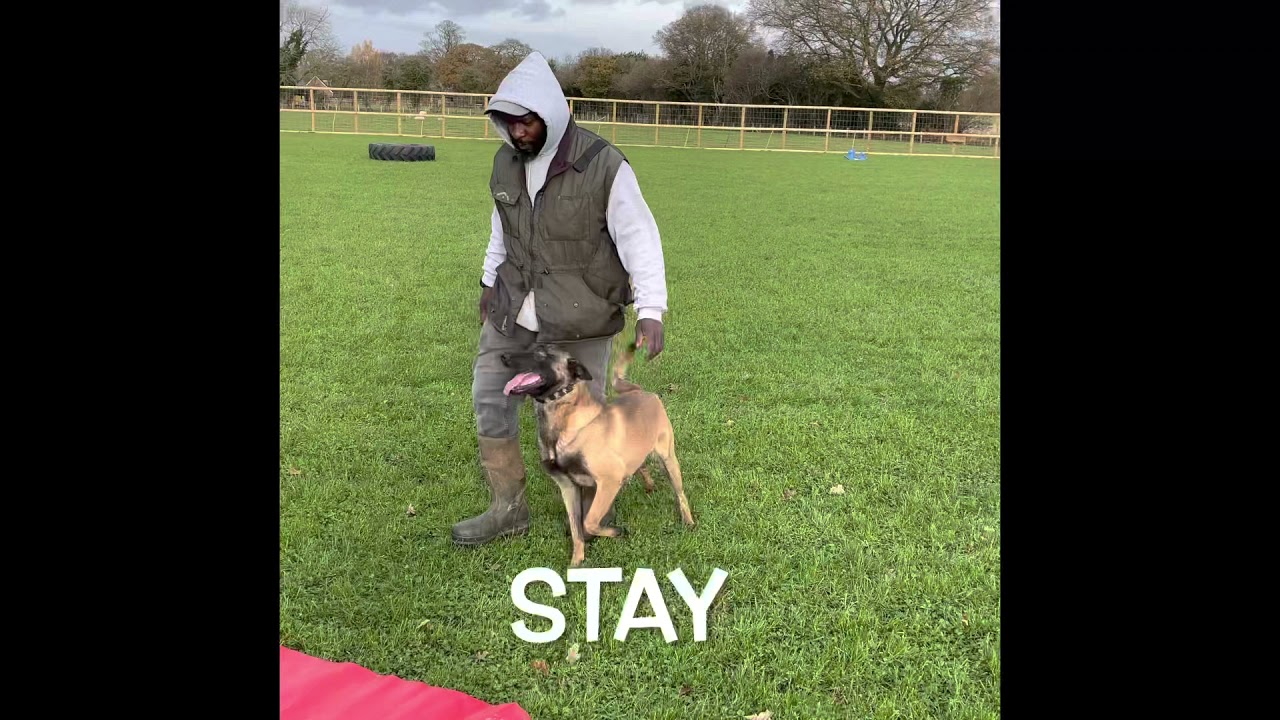 Mondioring training with Chance