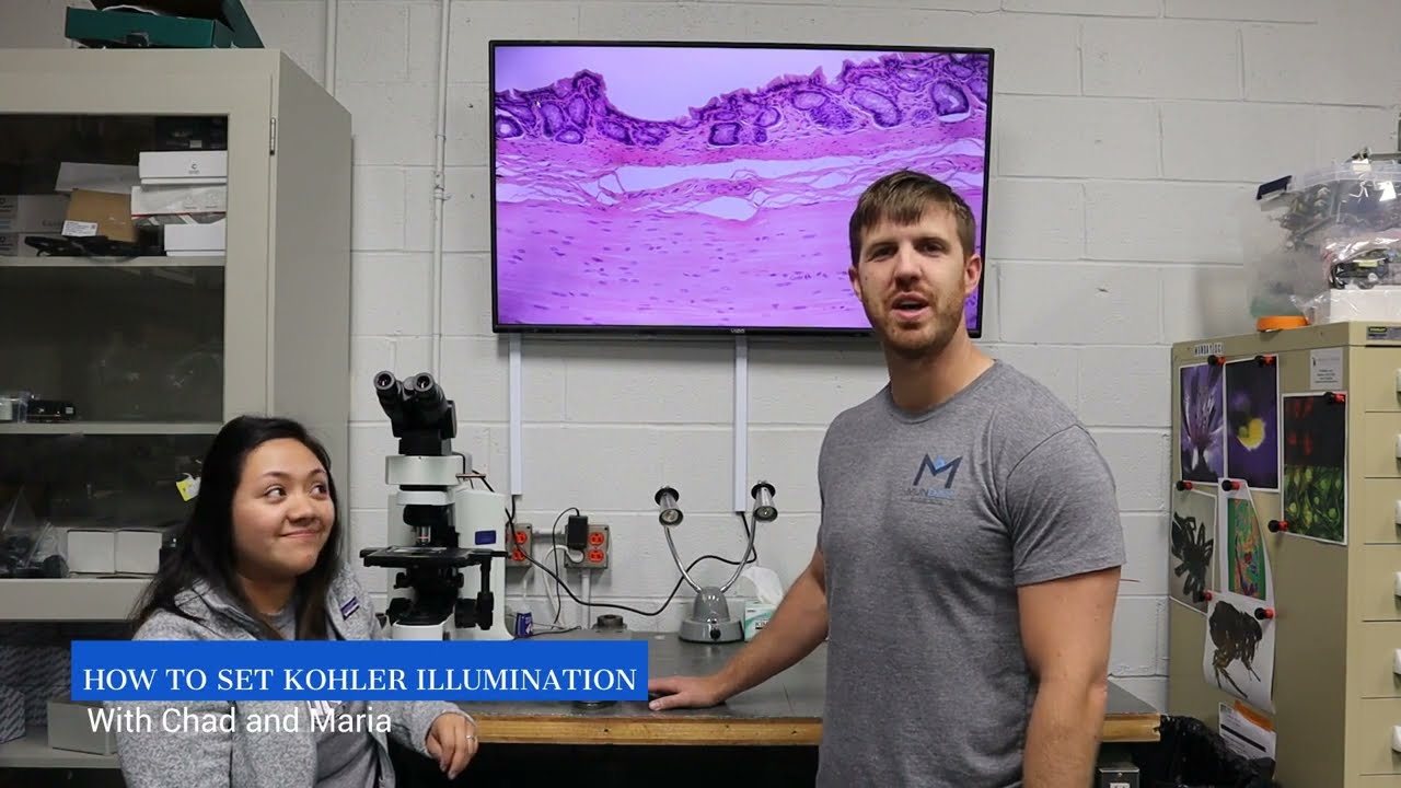 How to set Kohler illumination on your microscope with Munday Microscope Company