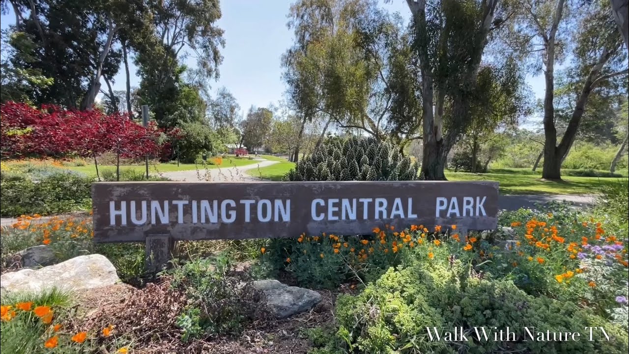 Nature Walk at Huntington Central Park East, Huntington Beach California. Trees Lake Wildlife Flower