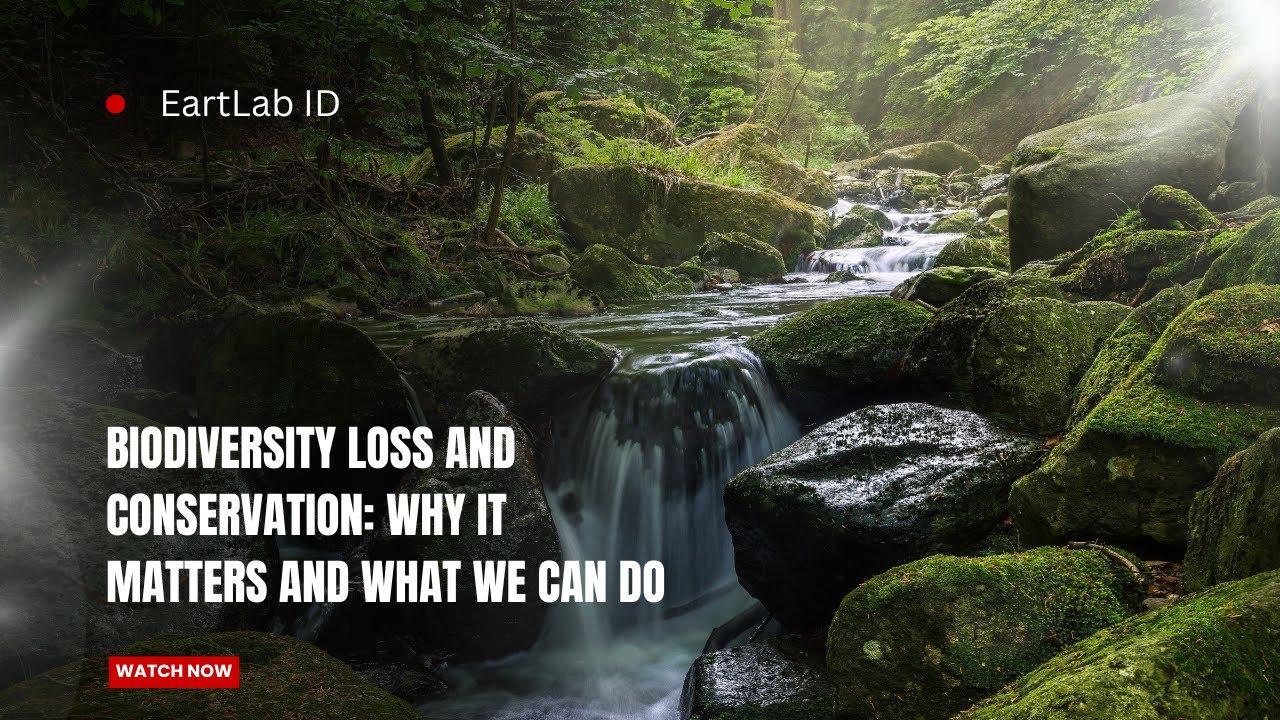 Biodiversity Loss and Conservation