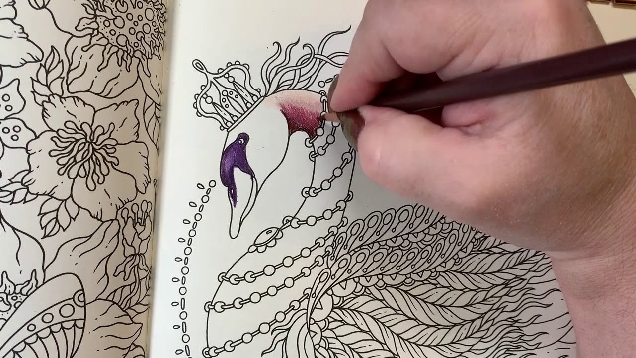 Adult Coloring - Magical Dawn