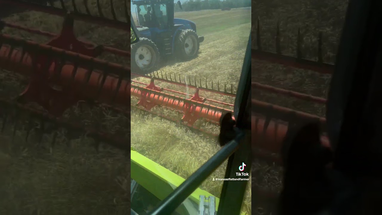 Kansas wheat harvest #farming #agriculture #combine #tractor #wheat #semi #truck #agro #claas  #food