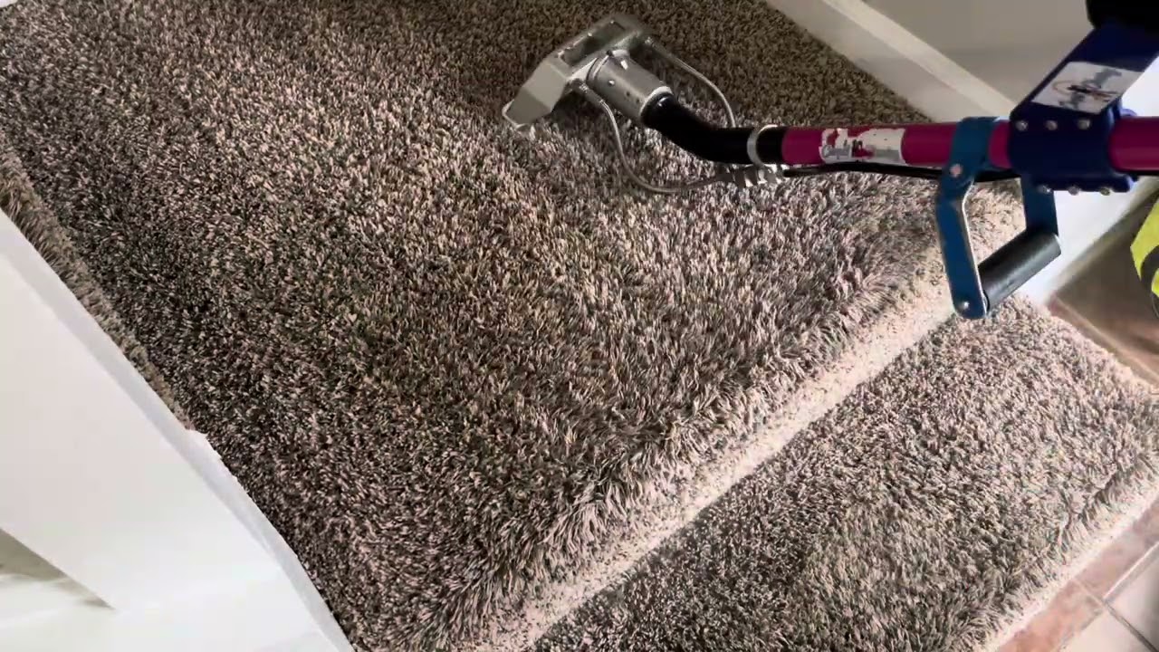 This is your sign to give your carpet some TLC.