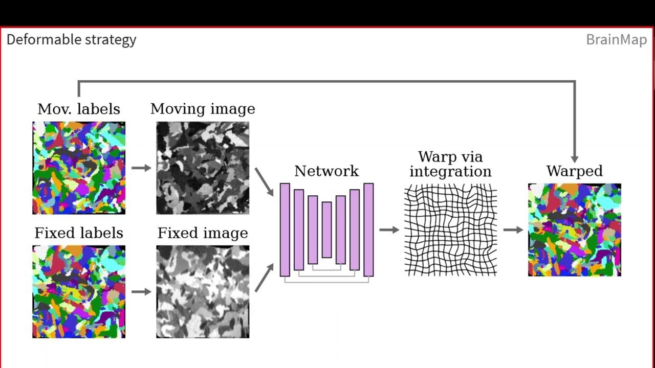 BrainMap: Dr. Malte Hoffmann 