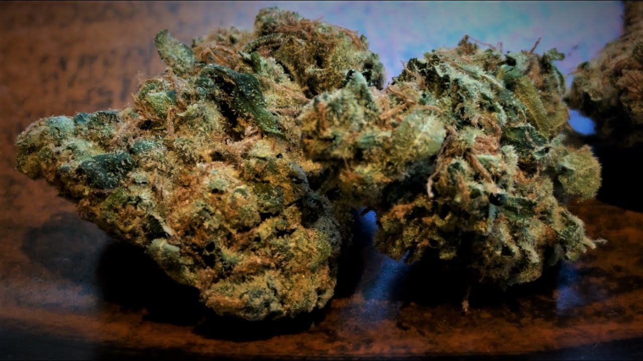 Sour Diesel Strain Review