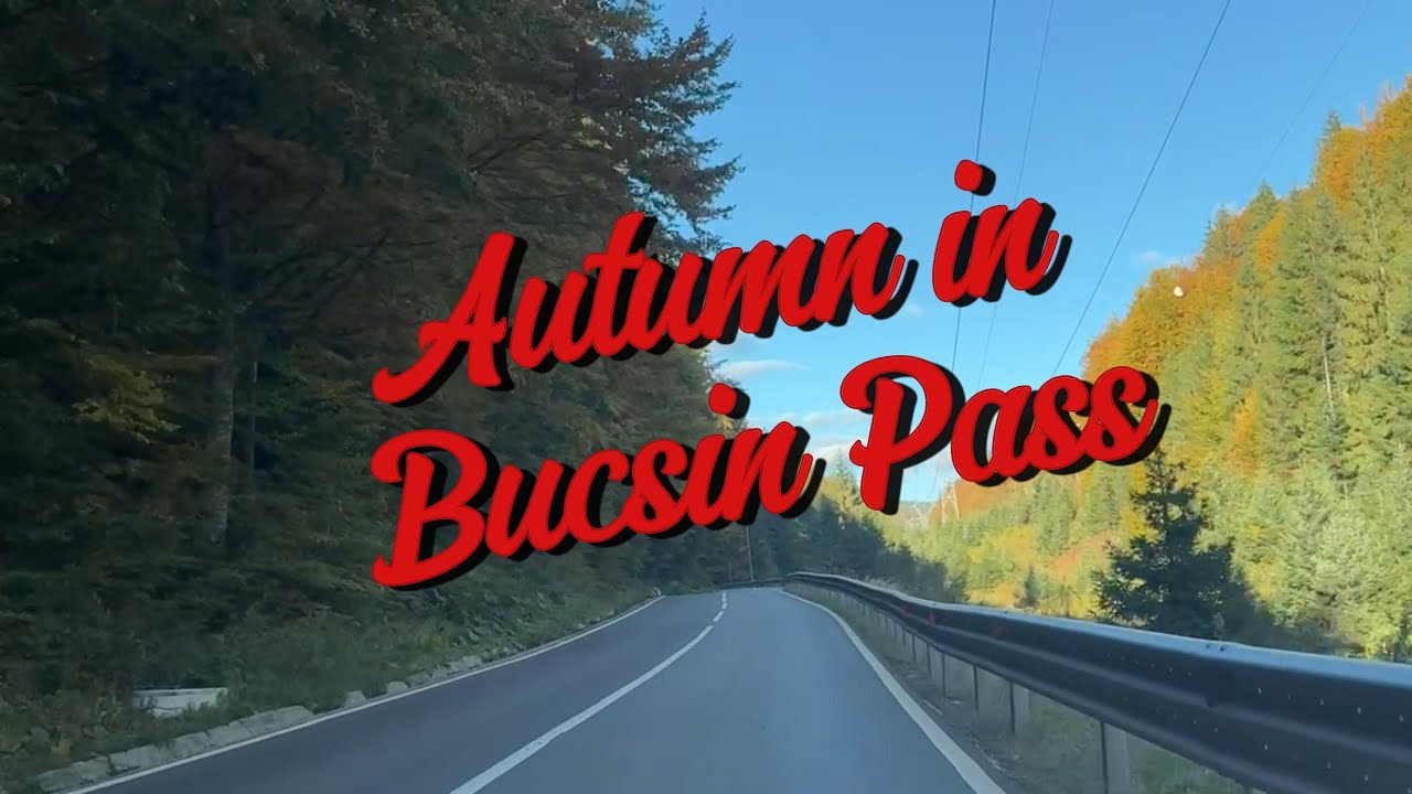 Driving Through Romania’s Hidden Autumn Paradise  (Bucsin Pass)