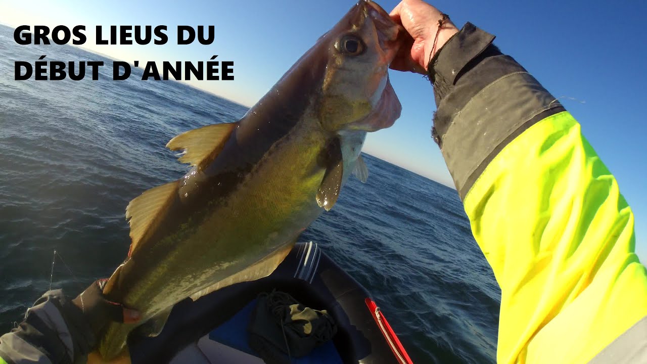 Gros lieus du 9 janvier 2021
