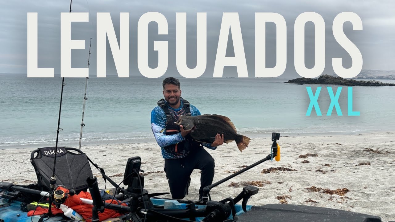 Pesca en KAYAK de LENGUADO XXL el Mas GRANDE que he sacado!🚨