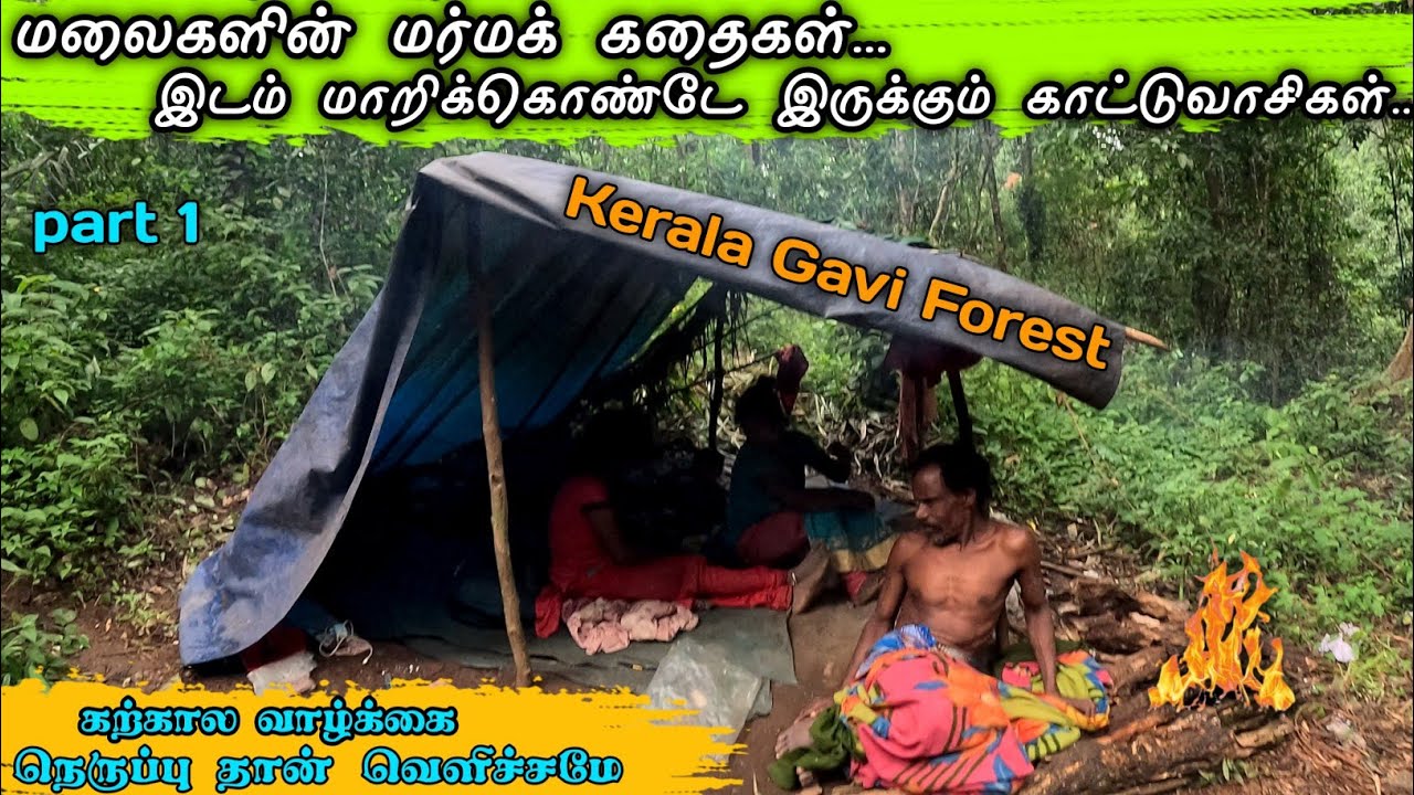 வயசு ஆகாத அதிசயம் 😮 காட்டுவாசிகள் காட்டு வாழ்க்கை Kerala Gavi forest #tribal #culture #village #gavi