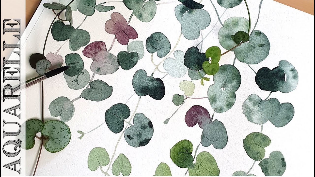 Cours d'aquarelle Débutants 🎨