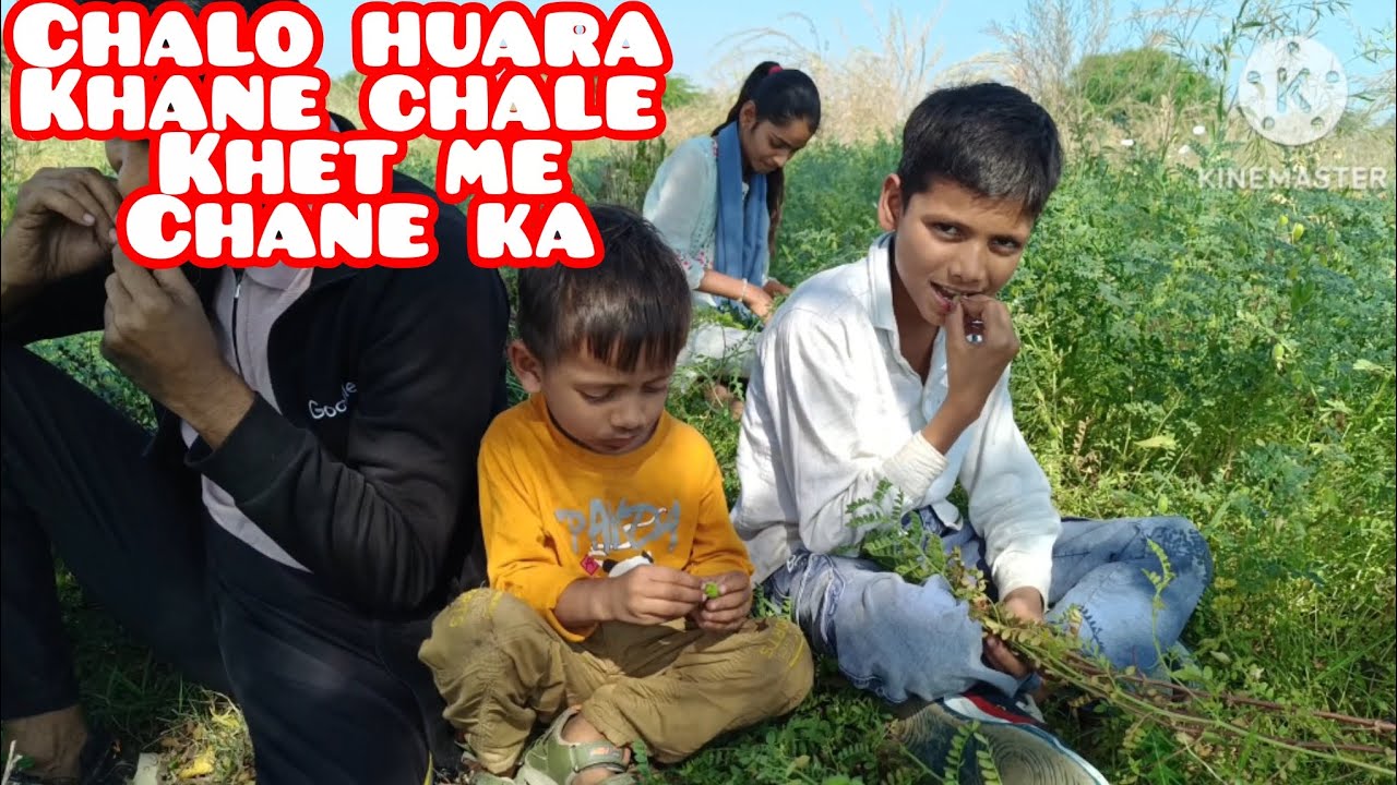 Khet me chana khane chlo [ huaraaa ] @Ayesha kitchen 