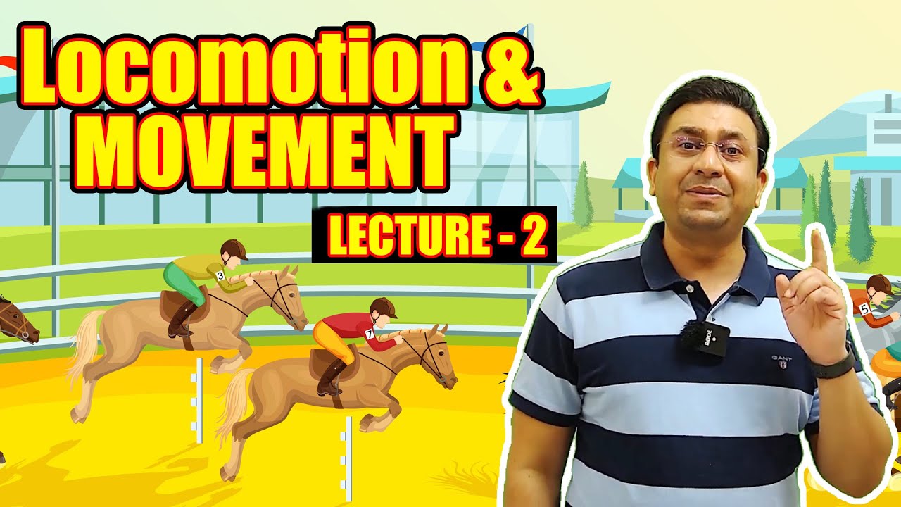 Locomotion and Movement l Lecture 2 l Biology l NEET