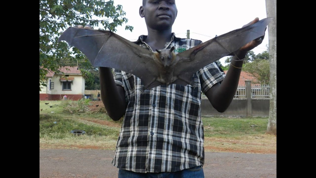 Dr.Fatih KAZANCI-UGANDA DA.mpg