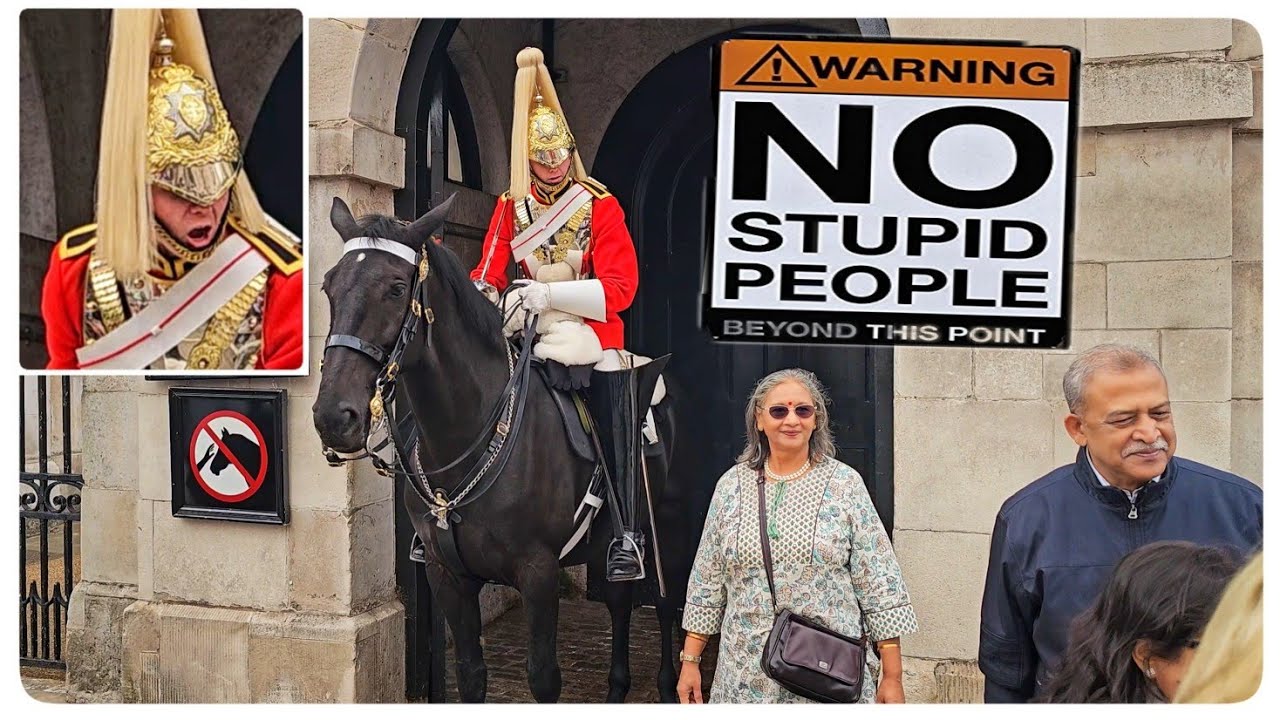 45 Times The Guard Ran Out of PATIENCE and Let Rip at Tourists!