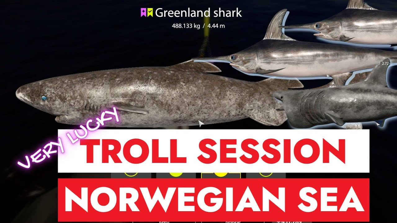 RUSSIAN FISHING 4 - RF4 - TROLL SESSION - NORWEGIAN SEA -  MORE THAN 6K SILVER KEEPNET