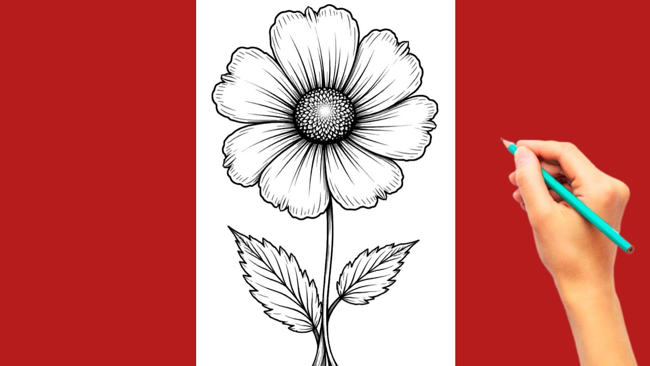 Realistic Flower Drawing with Pencil | Easy Step by Step Tutorial