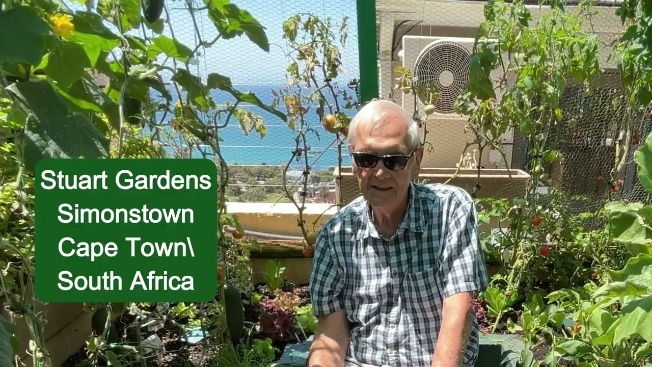 Mid-Summer Abundance in a Small Hügelkultur Home Garden