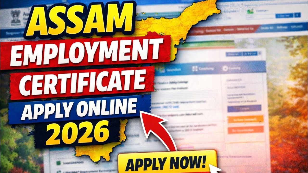 Employment Exchange Certificate Assam Apply Online | Easy Method