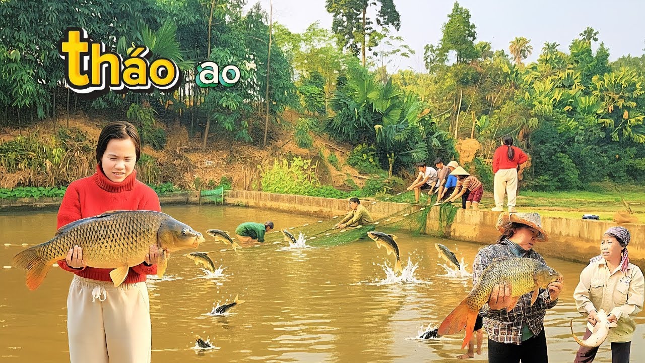 THÁO AO BẮT TOÀN CÁ KHỦNG / HIẾU ĐEN TV