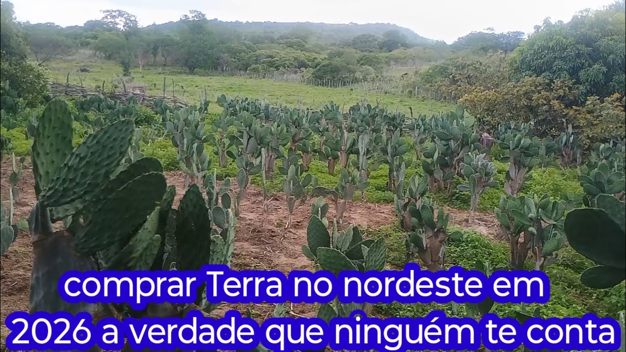2026 compensa comprar Terra no Ceará. a verdade que ninguém. fala