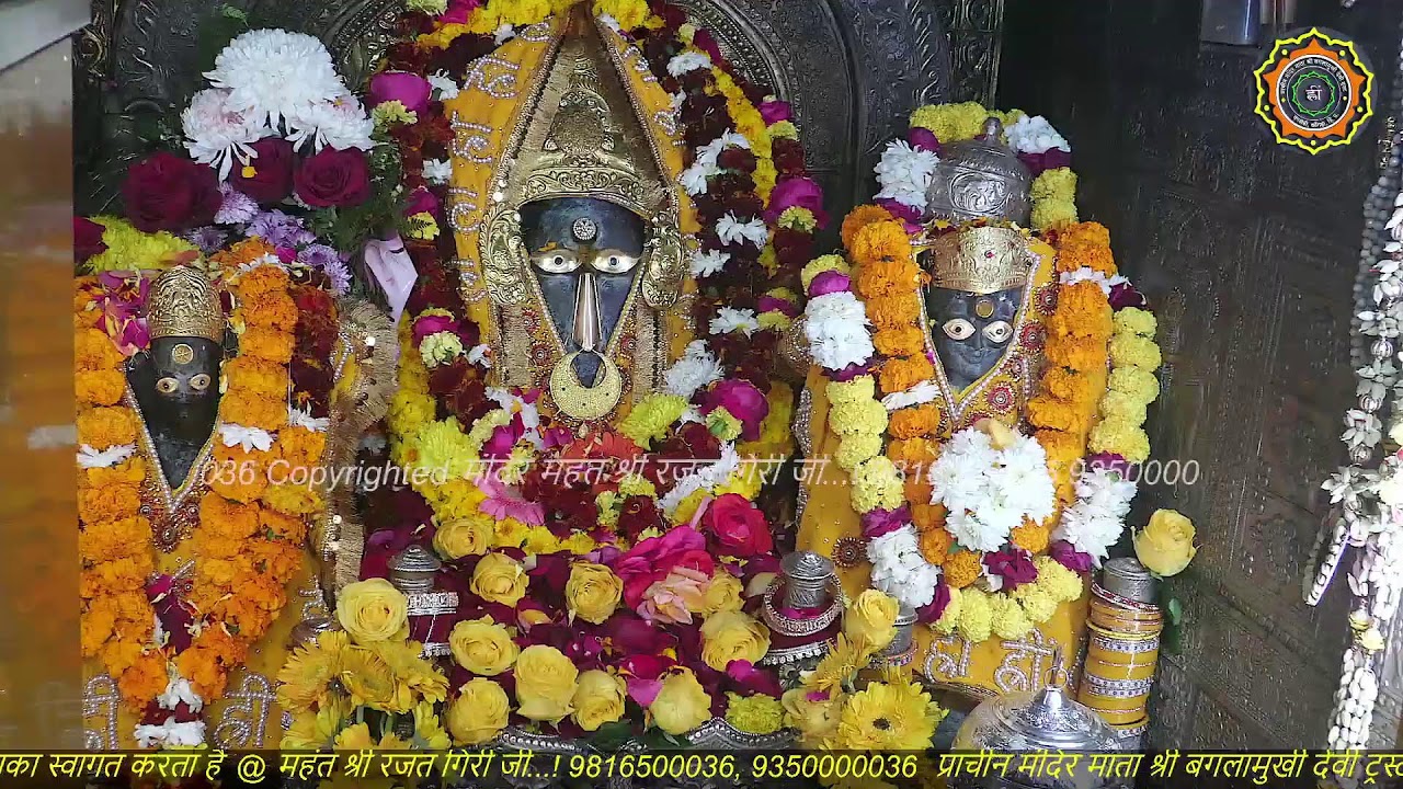 Maa Baglamukhi Official_Live Darshan_mahant shree Rajat giri ji_